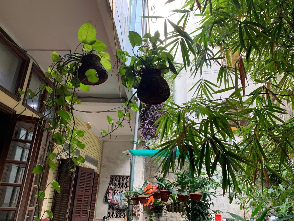 Halo Bay Homestay Ha Long Exteriér fotografie